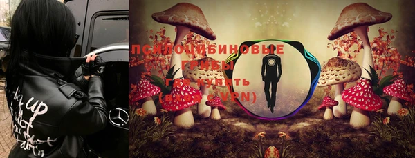 МДПВ Аркадак