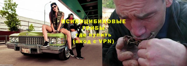 PSILOCYBIN Арсеньев